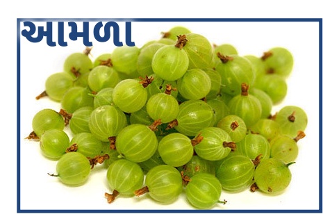 શુગરને નિયંત્રિત કરવા માટે આ ત્રણ આયુર્વેદિક ફળો એક ઉપાય કરીકે