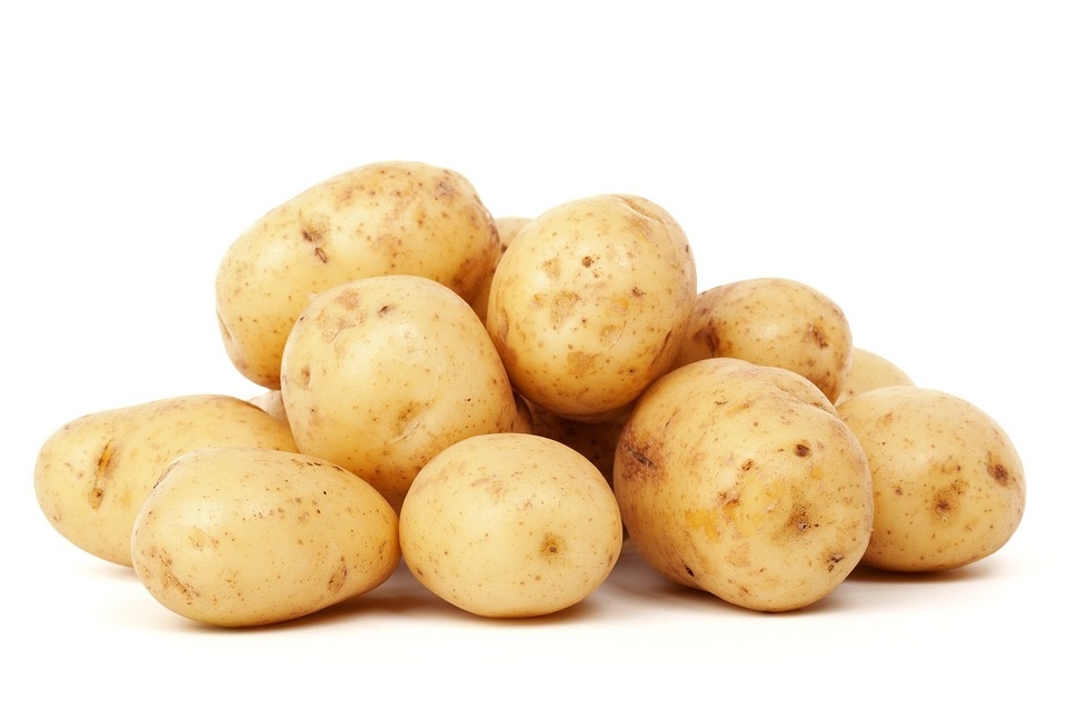 Potato