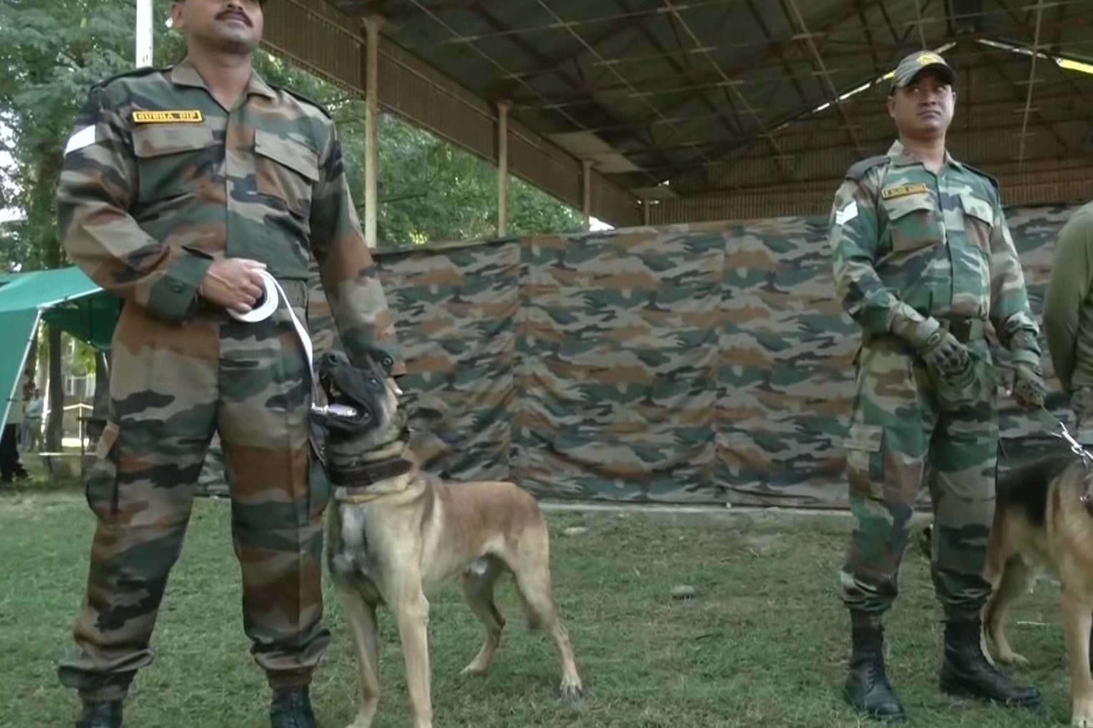 Army Assault Canine Zoom