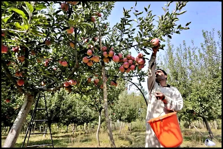 Farmer and Growers demand in Himachal