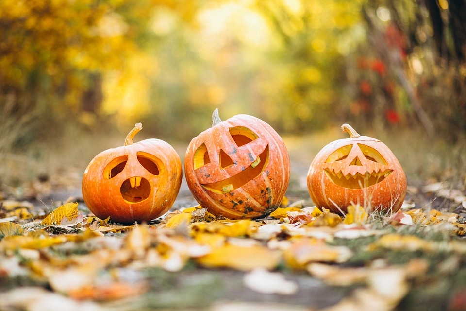 Pumpkins have surprising health benefits for body