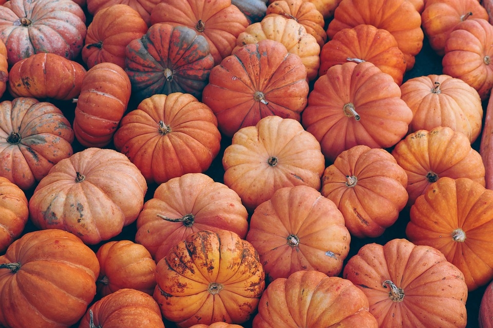 Pumpkins have surprising health benefits for body