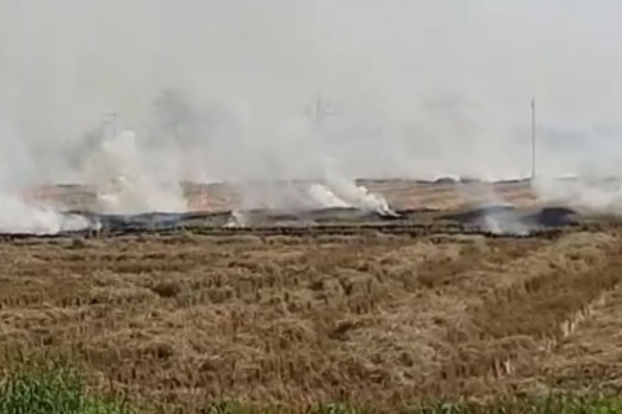 Stubble burning in Fatehabad