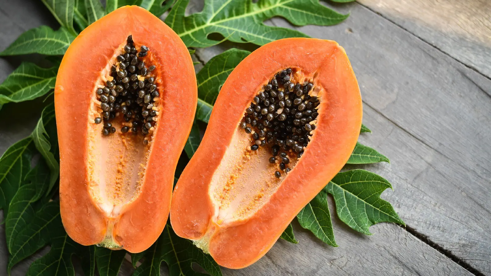 Papaya