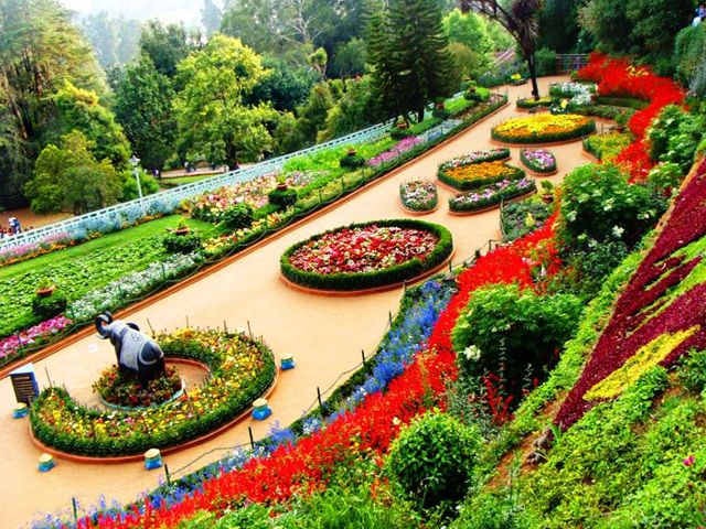 Ooty