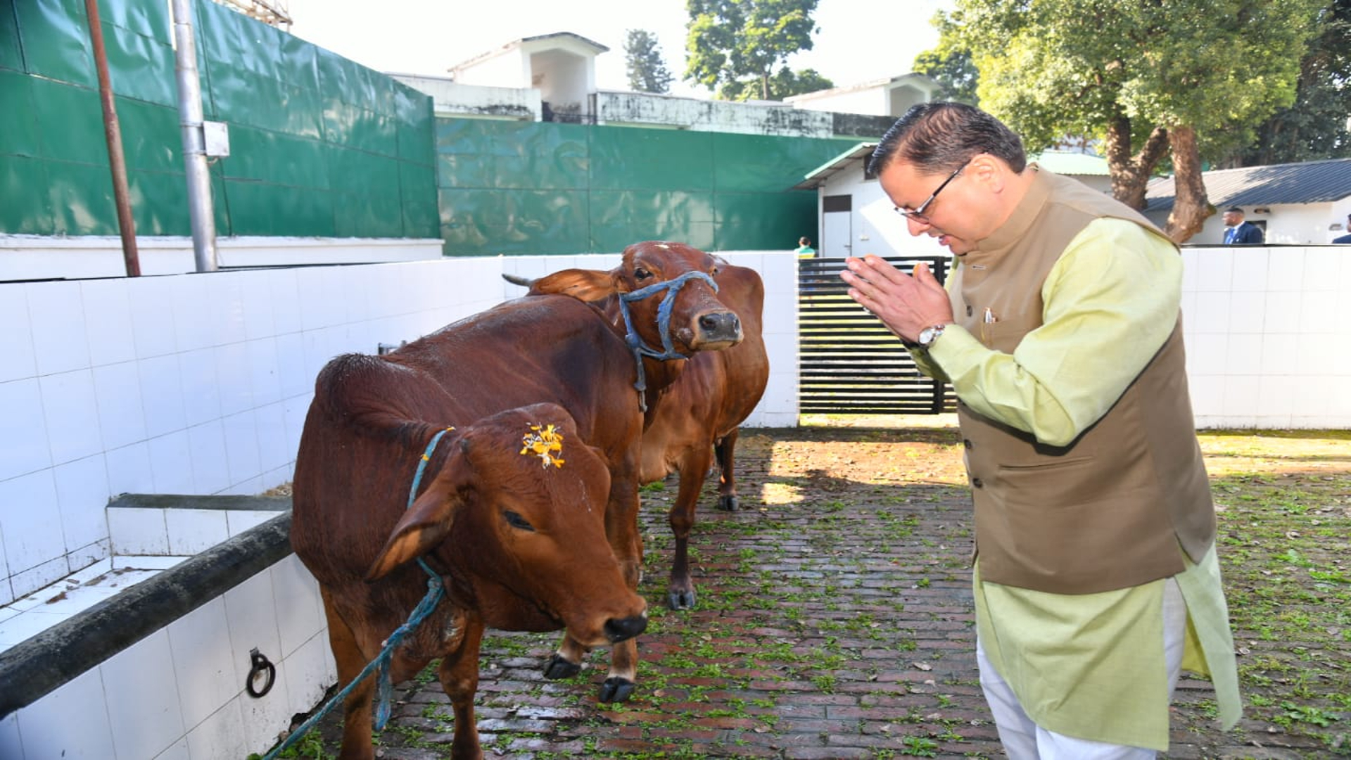 Uttarakhand CM Pushkar Dhami Worship Cows On Govardhan Puja 2022