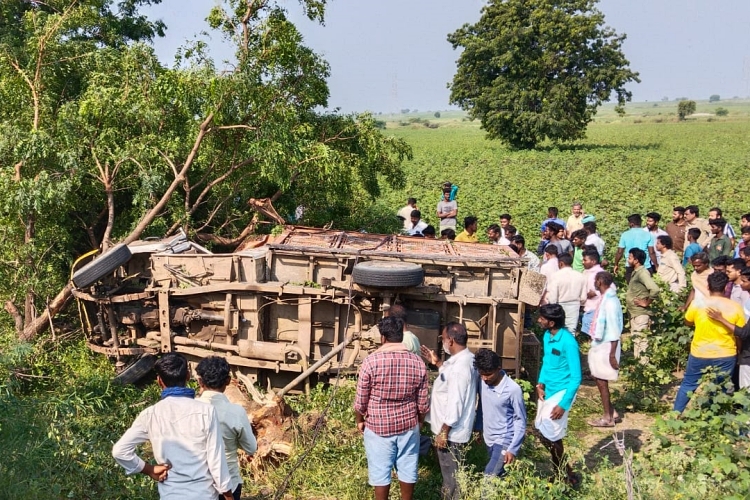 A lorry carrying chicken collided with a tree