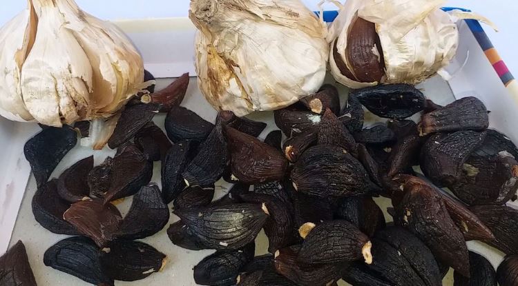 Black Garlic Benefits