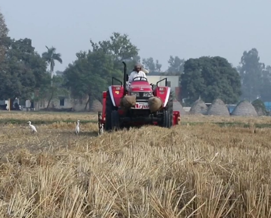 stubble burning problem in karnal