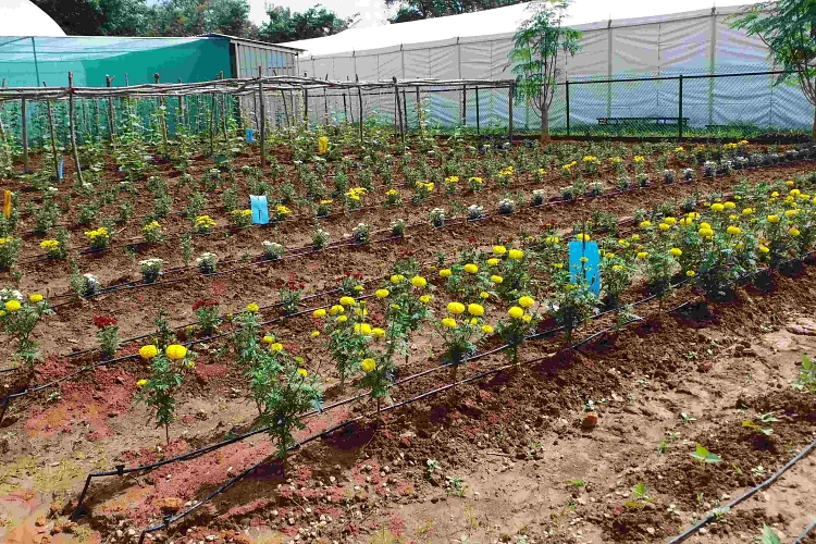 New technology to control garden drip irrigation