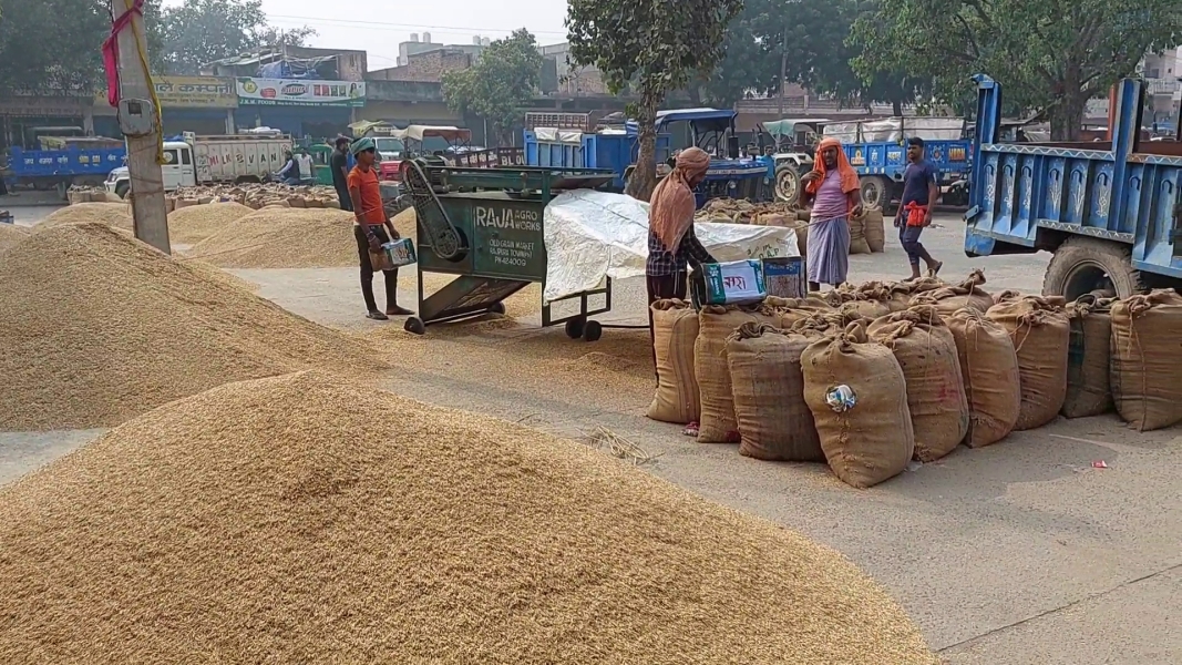 Grain Market Ballabgarh Faridabad