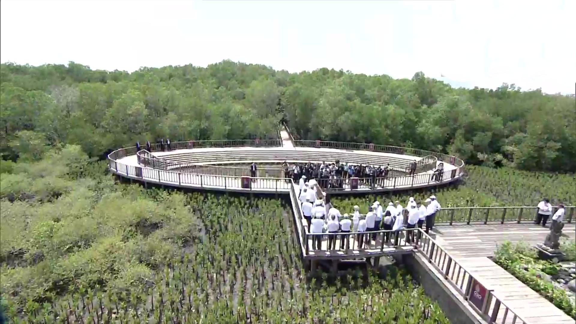 G20 Leaders Visit Mangrove Forest In Bali