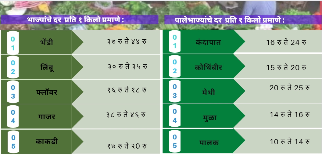 Vegetable rate Today