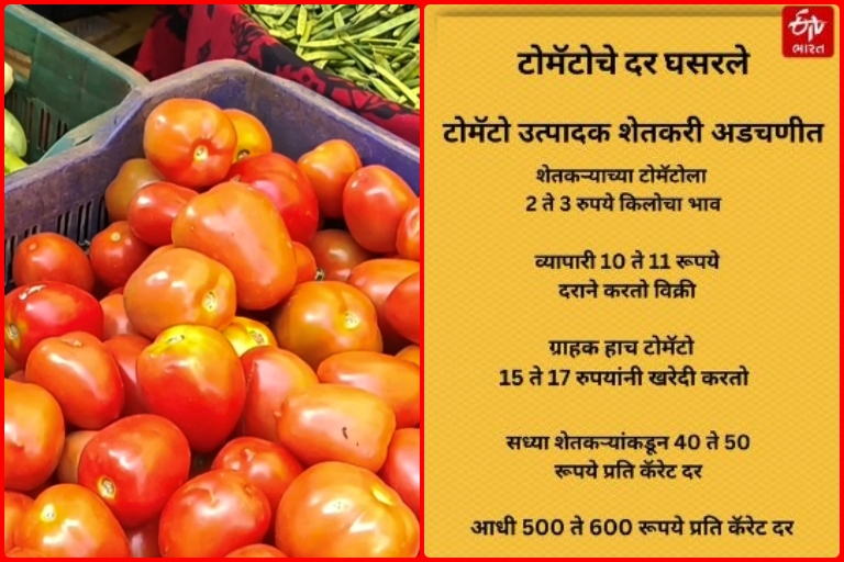 Tomato Price