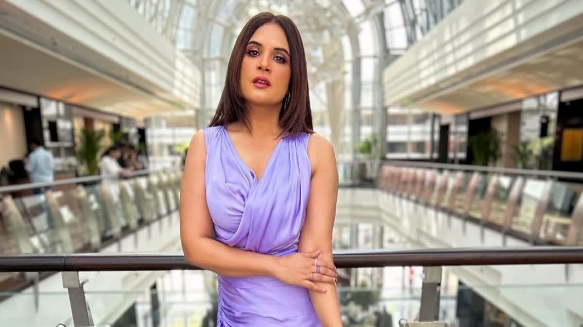 Richa Chadha  experience of flight delay