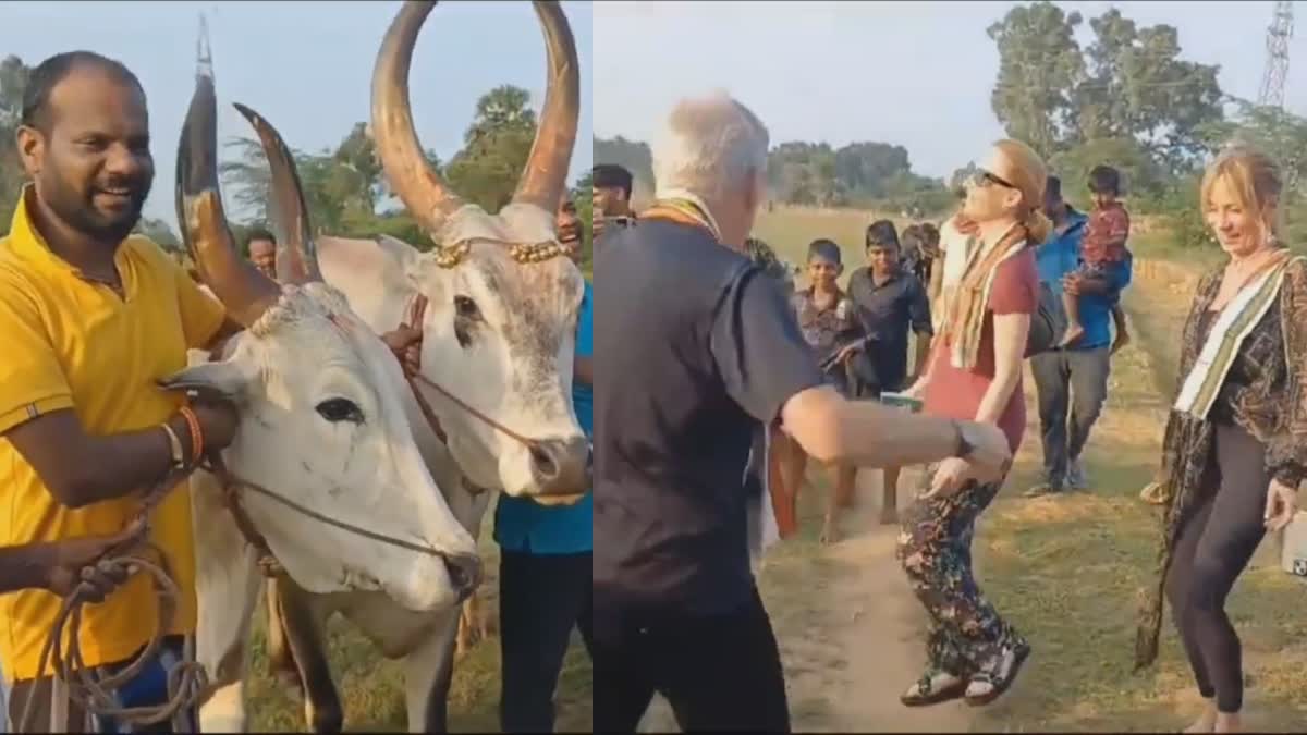 Pongal Celebration