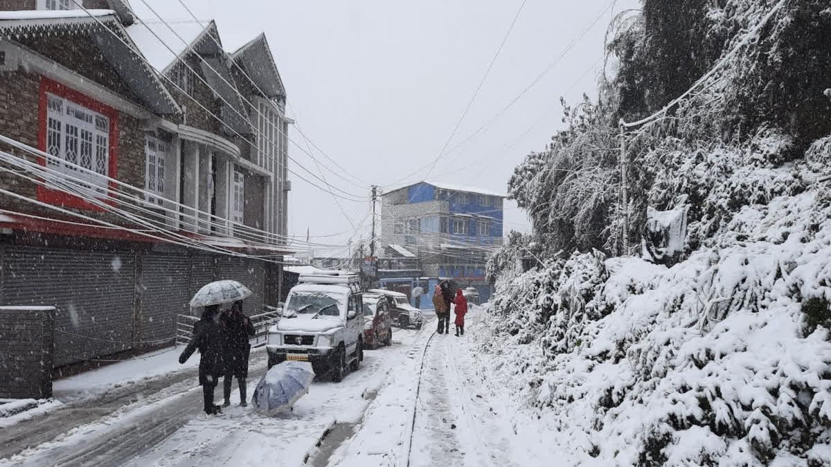 Darjeeling Snowfall  Darjeeling tourist attractions  ഡാര്‍ജലിങ് മഞ്ഞുവീഴ്‌ച  ഡാര്‍ജലിങ് വിനോദ സഞ്ചാരം