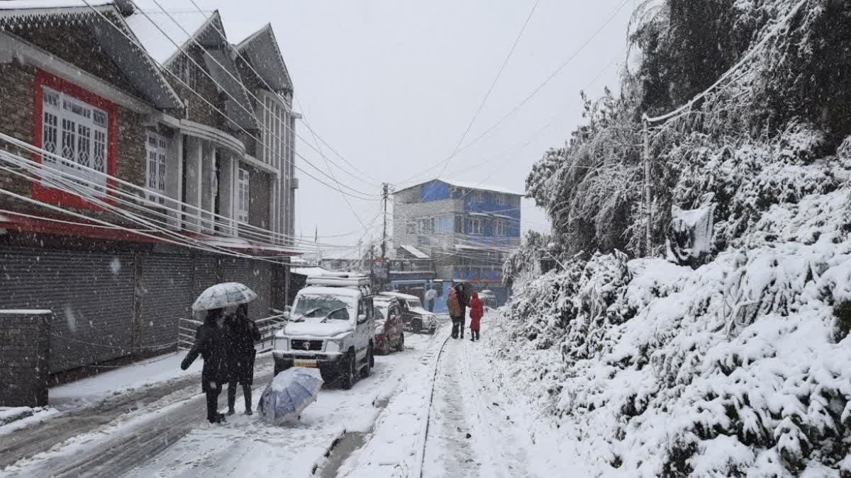 Darjeeling Snowfall