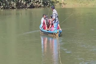 suspension bridge in Kallarkutty  Kallarkutty dam  കല്ലാര്‍കുട്ടിയില്‍ തൂക്കുപാലം  കല്ലാര്‍കുട്ടി ഡാം