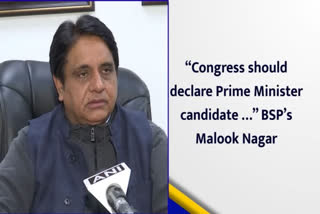 Malook Nagar states that Congress should take admonition by listening to Akhilesh Yadav and declare a Prime Minister candidate.