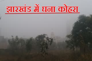 Rail and air traffic affected due to fog in Jharkhand