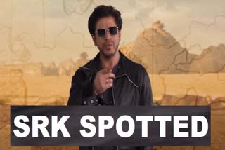 Shah Rukh khan spotted