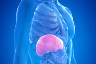 Liver Diseases And Symptoms  Prevention Of Liver Diseases  ഫാറ്റി ലിവര്‍  കരള്‍ രോഗങ്ങളും കാരണവും