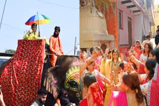 Rajgarh bride riding on elephant