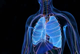 Lung Health News