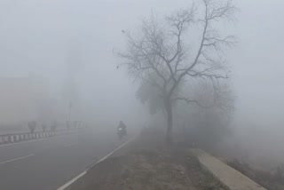 Haryana weather report