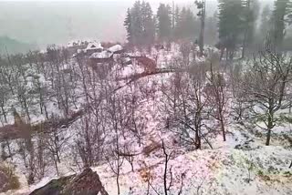 Snowfall In Shimla