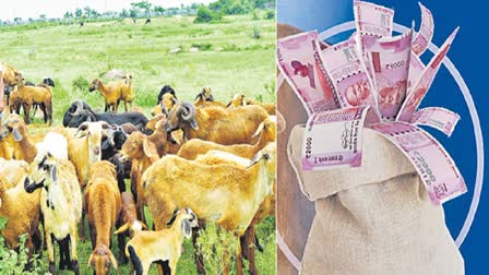 Telangana Sheep Scam