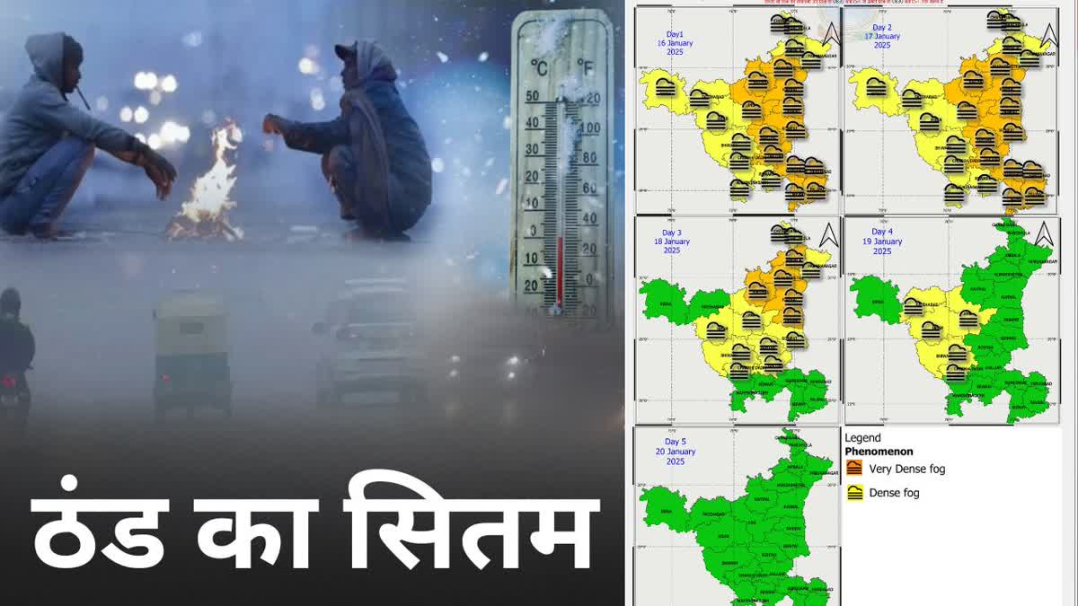 haryana weather update