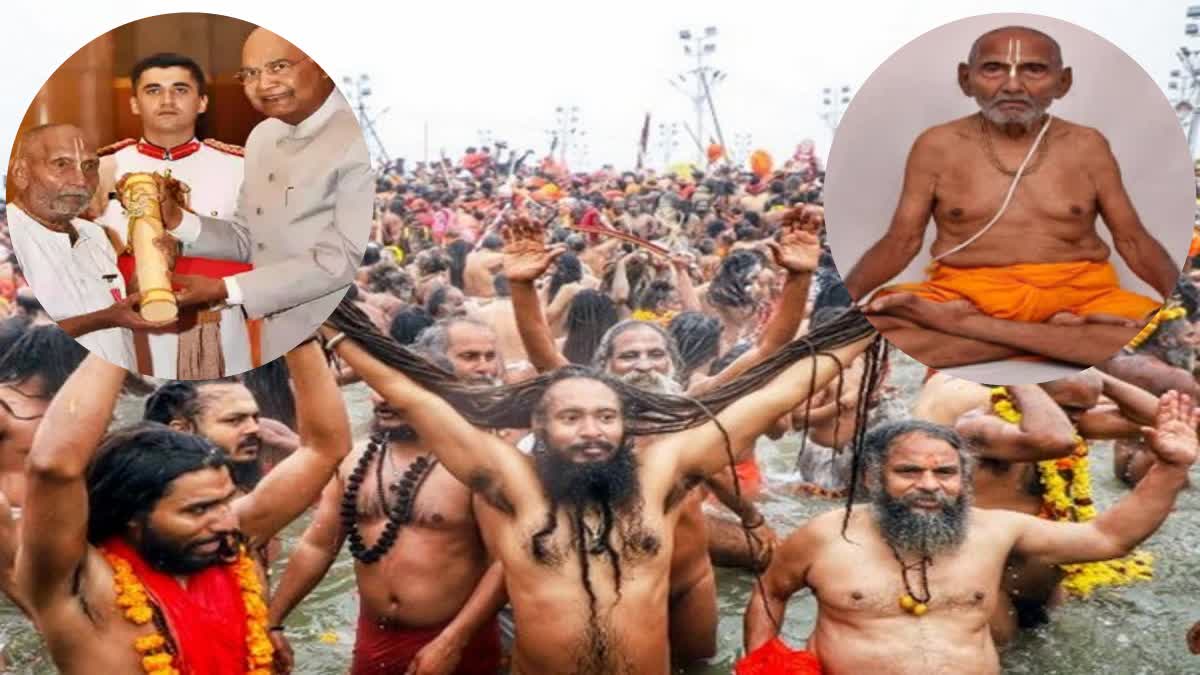 Kumbh Mela 2025 Swami Sivananda