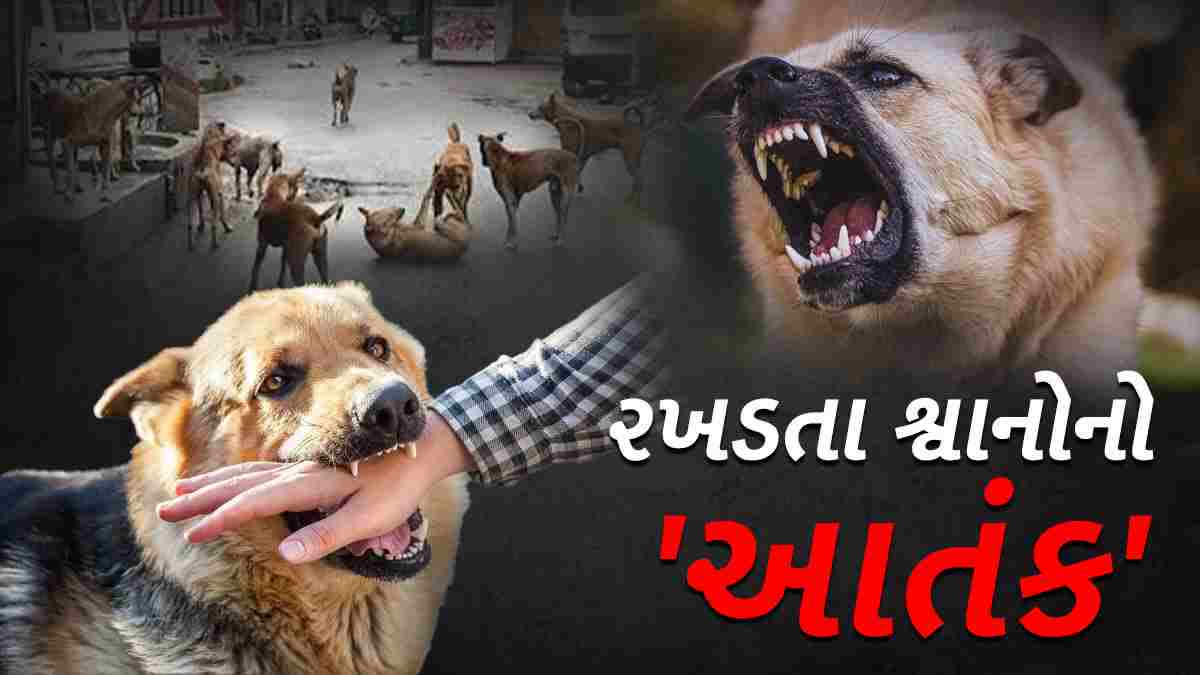 નવસારીમાં 2 દિવસમાં કૂતરા કરડવાના 50થી વધુ કેસો નોંધાયા