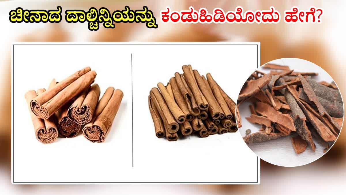 SRILANKAN CINNAMON  BEST CINNAMON IN THE WORLD  CHINA CINNAMON  WCHICH CINNAMON IS BEST