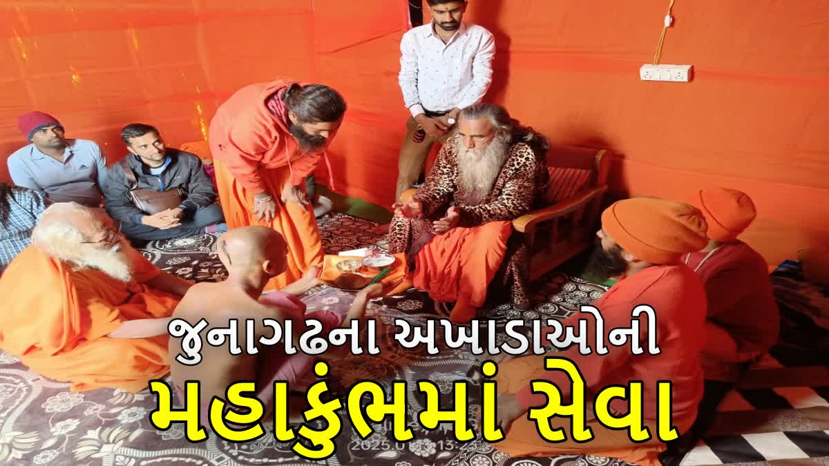 જૂનાગઢના અખાડાઓએ કરી ત્રિસ્તરીય વ્યવસ્થા