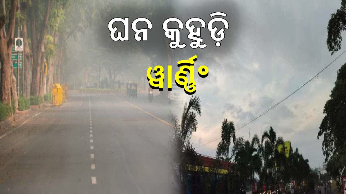 Odisha Weather Latest Forecast