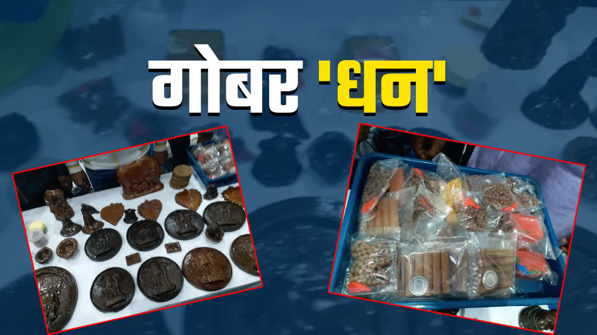 SHAHDOL COW DUNG PRODUCTS