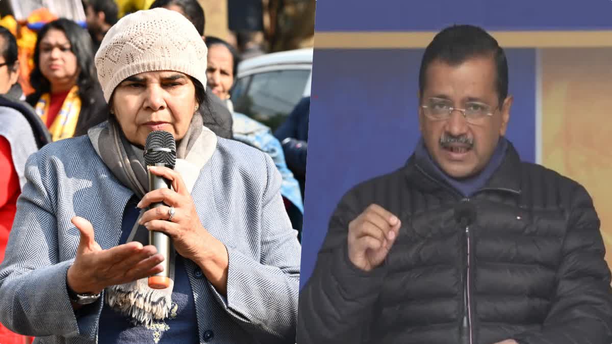 राजकुमारी ढिल्लो ने केजरीवाल को बताया धोखेबाज