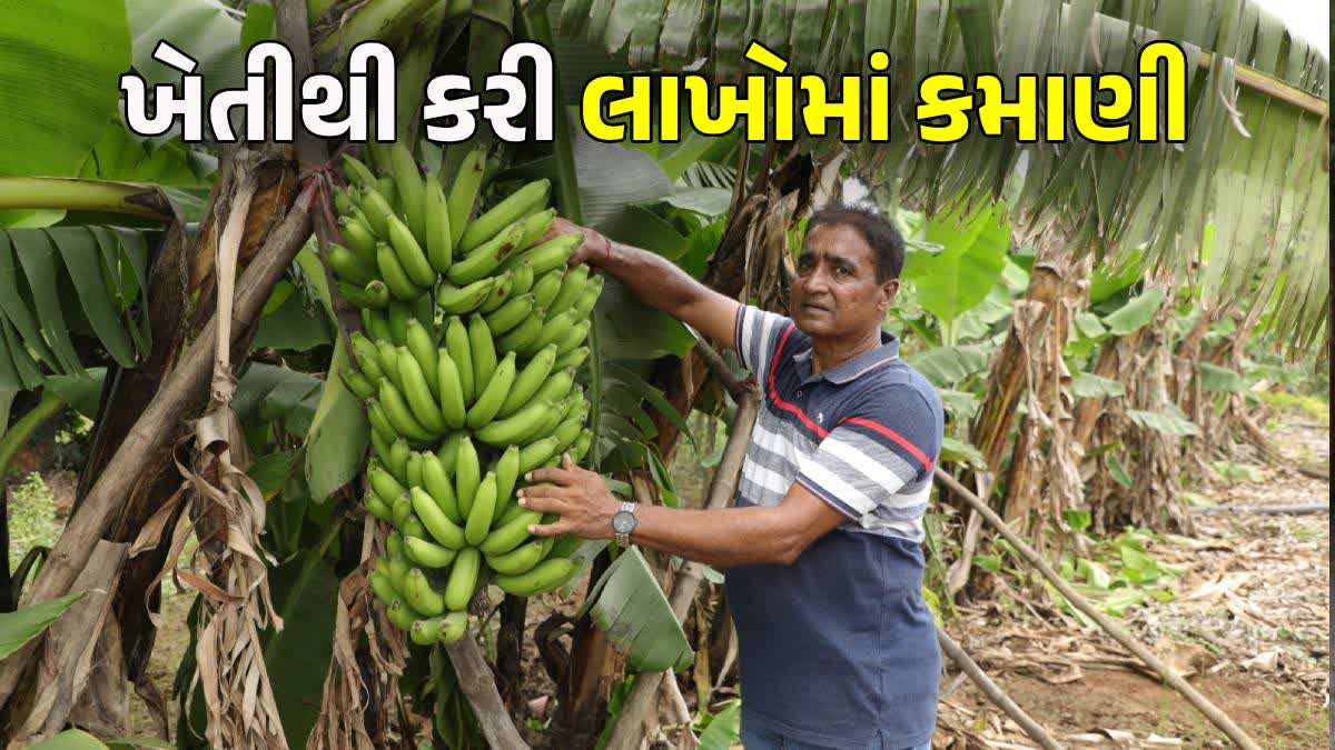 સુરતના ખેડૂતે ખેતીમાં કરી કમાલ