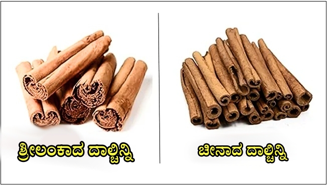 SRILANKAN CINNAMON  BEST CINNAMON IN THE WORLD  CHINA CINNAMON  WCHICH CINNAMON IS BEST