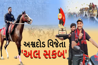 મહારાષ્ટ્રના 5 વર્ષના ઘોડાએ બાજી મારી