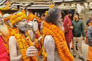 Naga Sadhus