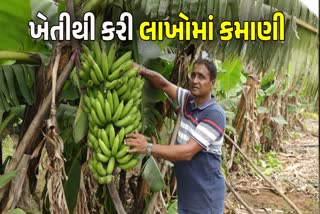 સુરતના ખેડૂતે ખેતીમાં કરી કમાલ