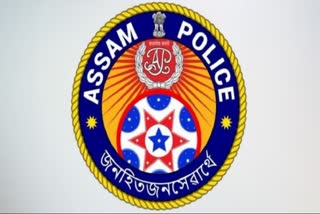 17 APS promoted to IPS