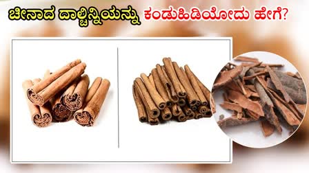 SRILANKAN CINNAMON  BEST CINNAMON IN THE WORLD  CHINA CINNAMON  WCHICH CINNAMON IS BEST