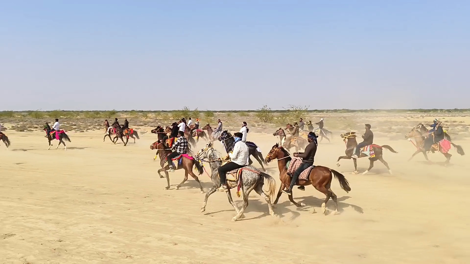 કચ્છમાં યોજાઈ સૌથી મોટી ઘોડા દોડ સ્પર્ધા