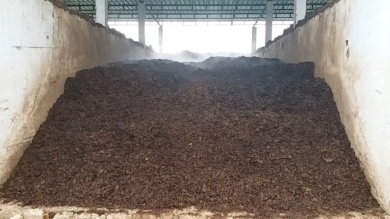 Mushroom Farming