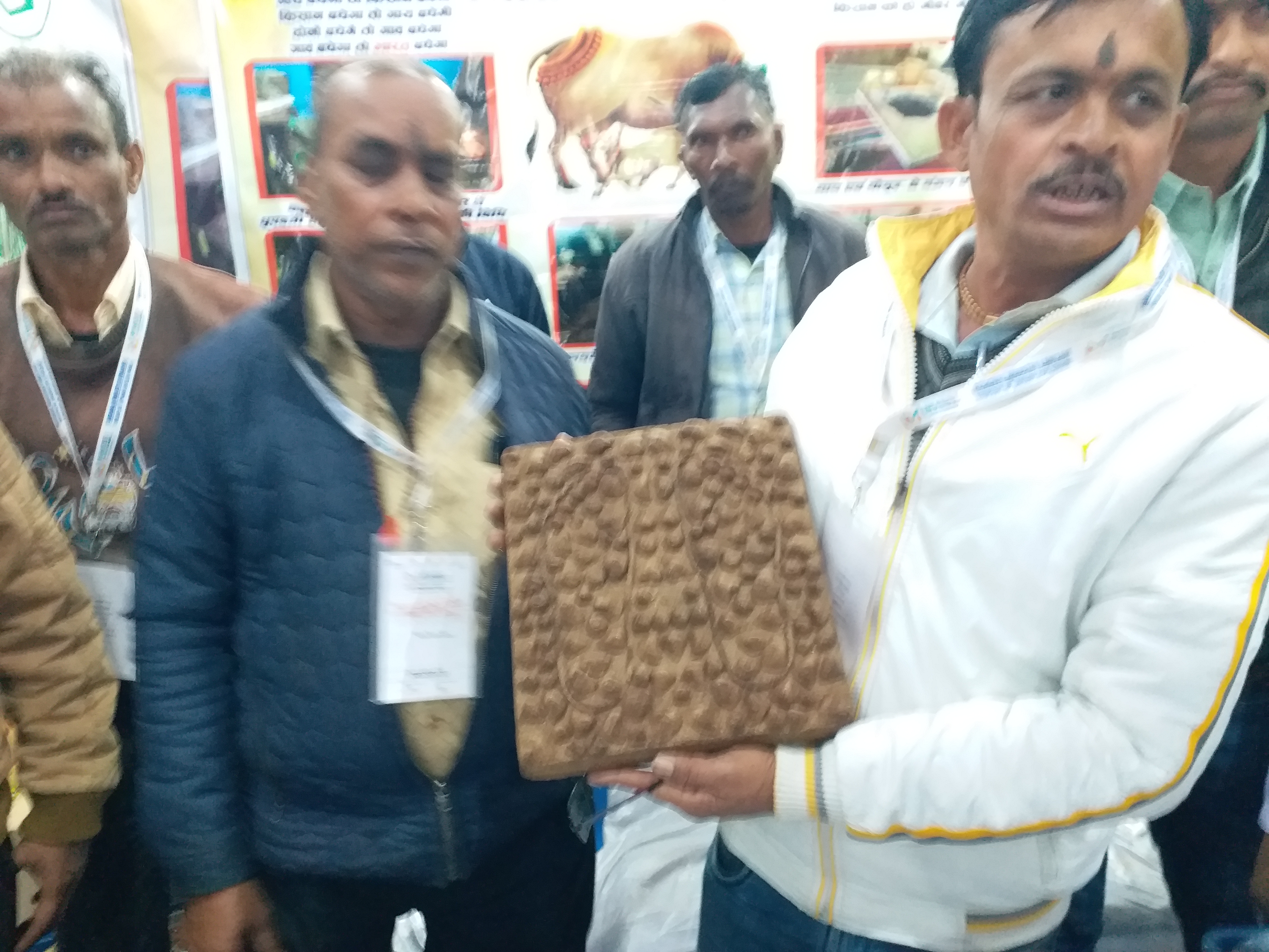 shahdol Cow Dung Products